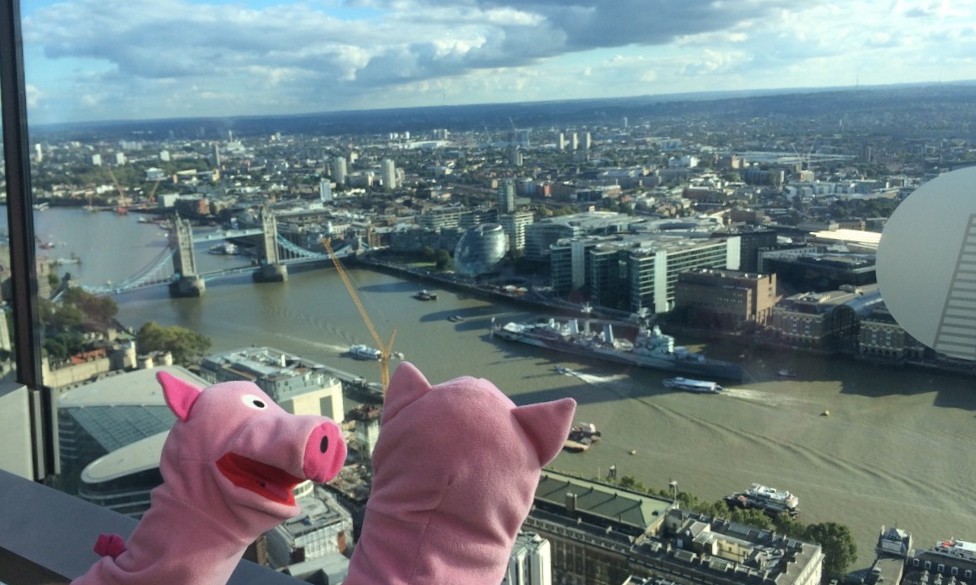 Aussicht auf die Thames und Tower Bridge: Schweine beeindruckt!