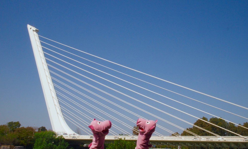 Vom Anblick dieser Brücke wird dem einen Schwein schwindelig – aufgrund der vielen schrägen Linien.