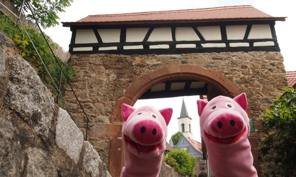 In Lindenfels sin die Schweinle am Stadtor aakomme.