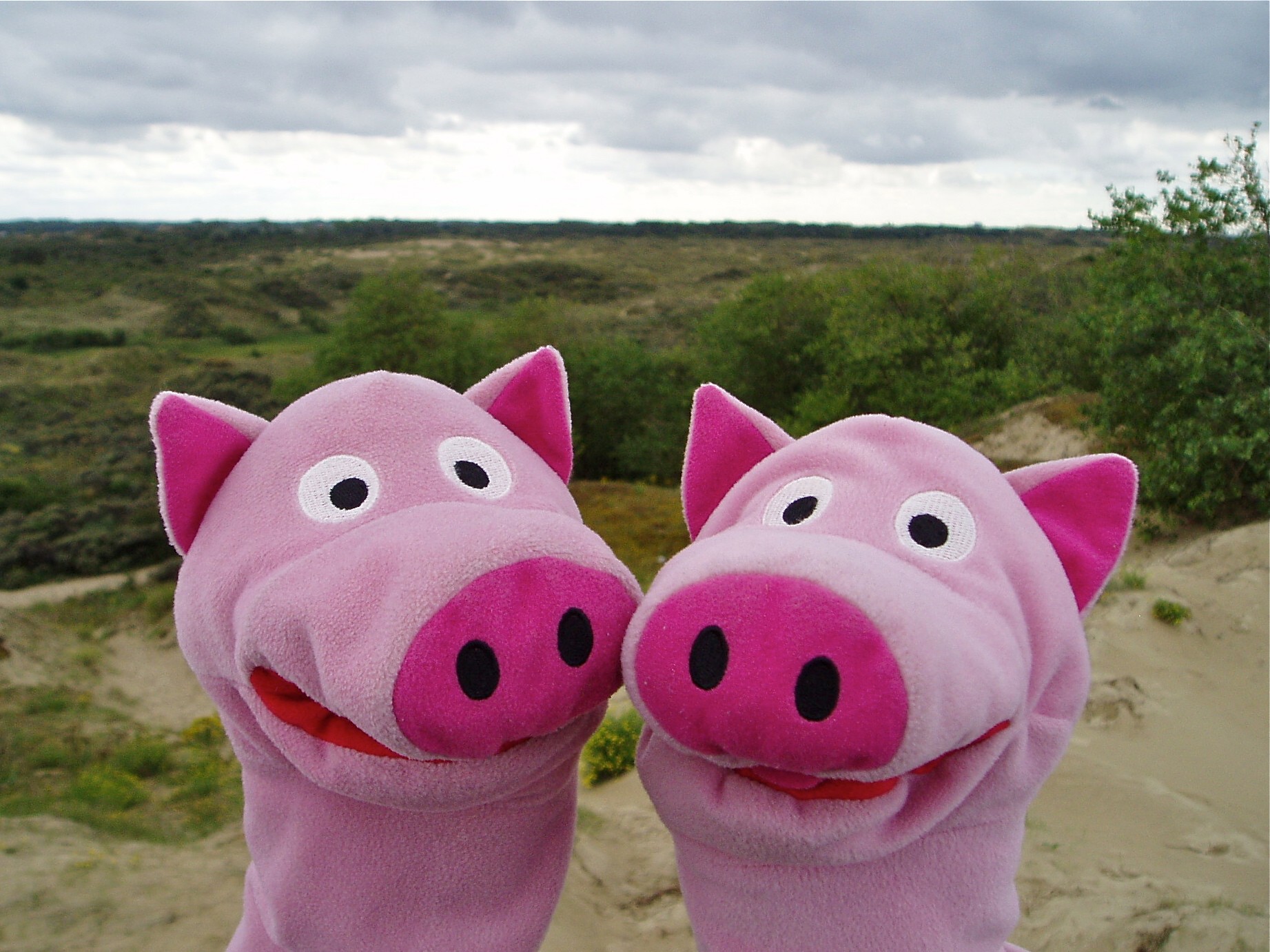 Auf jeden Fall hatten die Schweine ein sehr schönes Wochenende!