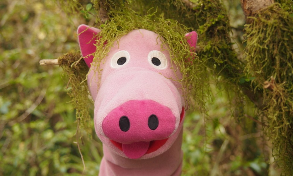 Ein Schwein hat sich als Waldgeist verkleidet.