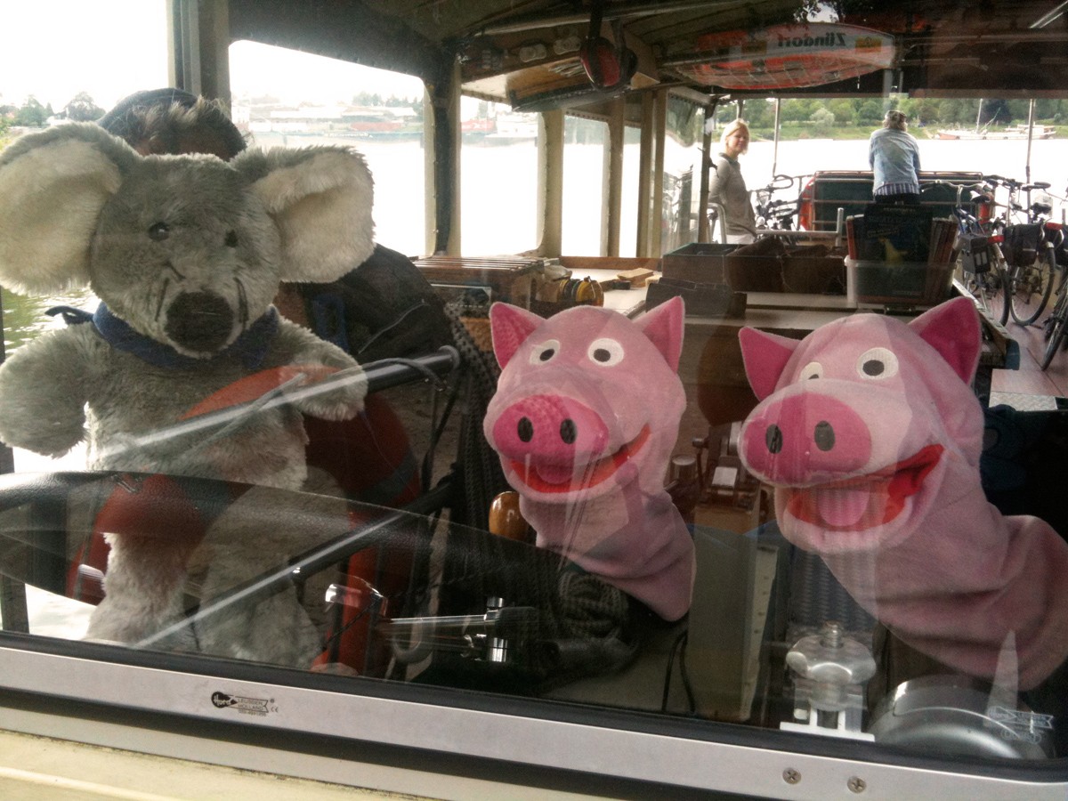 Wie schön! Die Schweine durften auch selbst mal steuern!