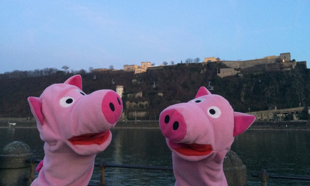 Am Abend waren die Schweine dann in Koblenz, im Hintergrund die Festung Ehrenschweinstein.