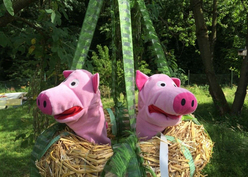 In der Abendsonne fahren die Schweine noch eine Runde mit dem Richtkranz.