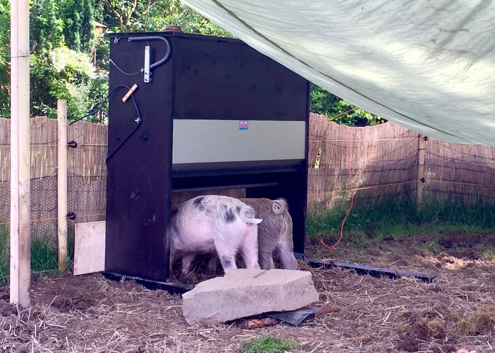 Da geht auch direkt eine Klappe auf, und es schmeckt köstlich!
