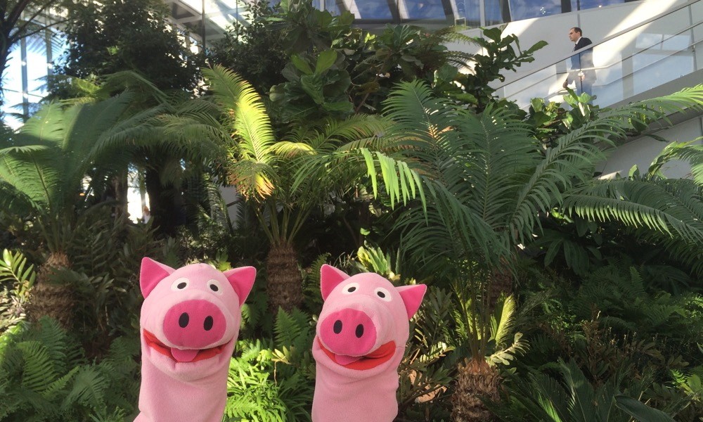 Tropischer Regenwald auf dem Walkie-Talkie