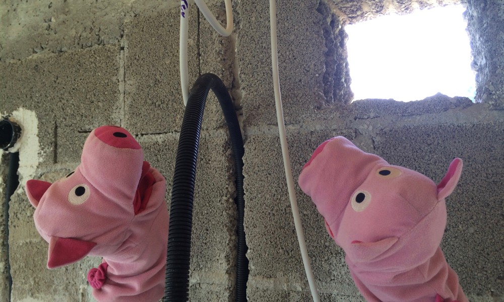 Auf der Baustelle wundern sich die Schweine über die Installationen. 