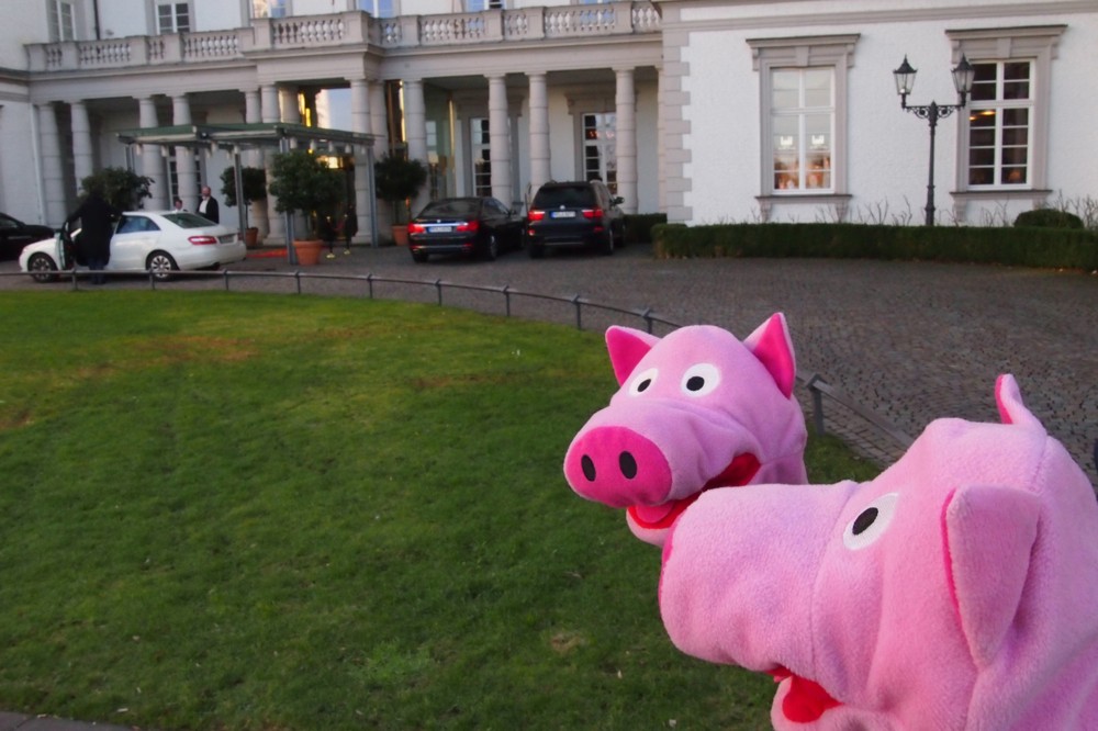 Die Schweine überlegen, ob sie hier absteigen sollen ...