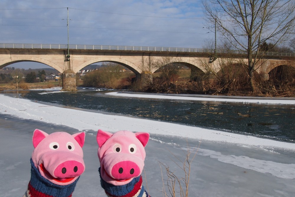 An der Sieg: Eisschollen schwimmen auf dem Fluss.