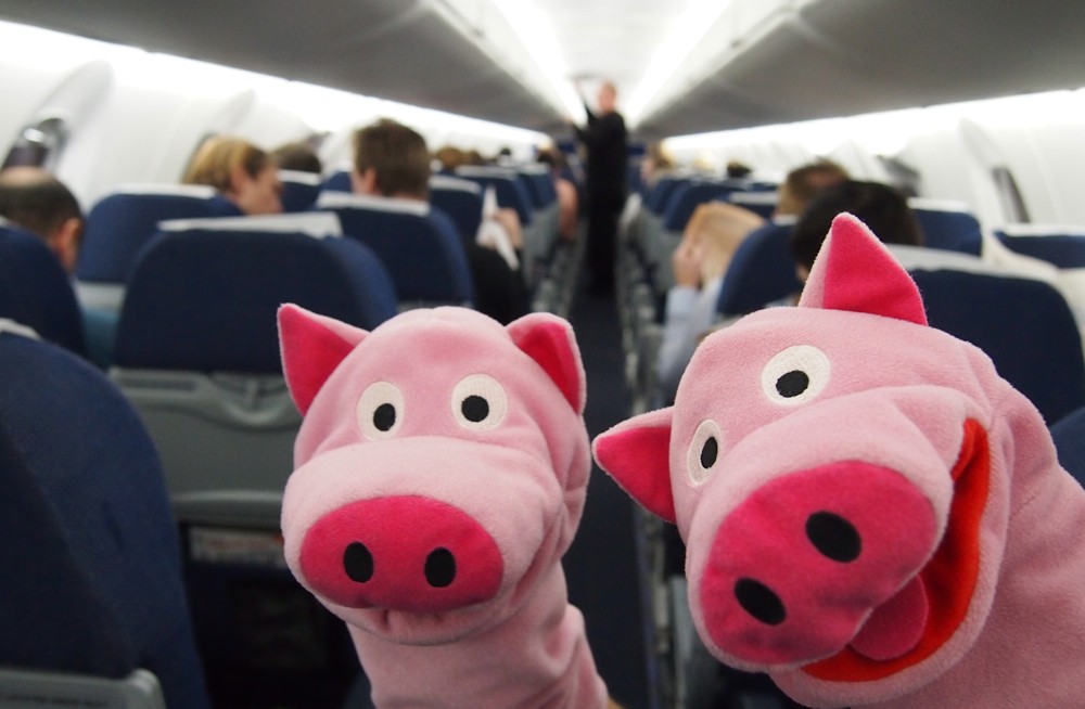 Im Flieger bessert sich die Laune aber schnell.