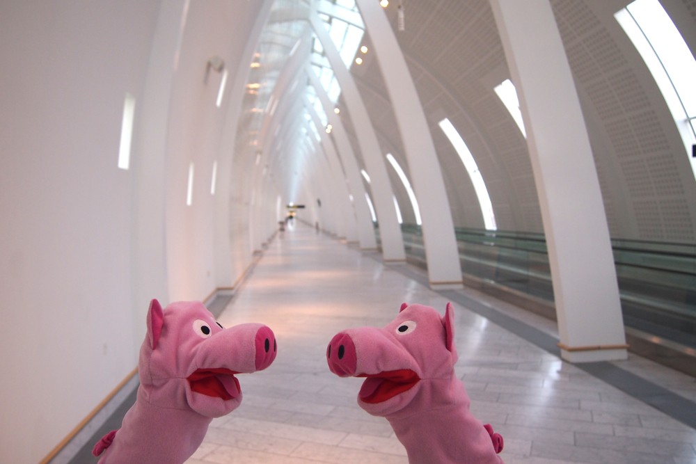 Hektik: "Wir müssen zu Gate A 13!" - "Nein, B 35!"