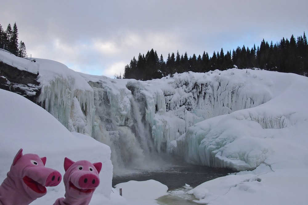 Tännforsen: viele Eiszapfen auf einmal.