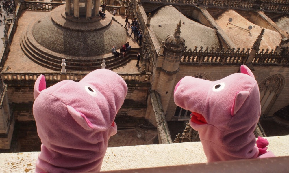 Hoch hinaus: über den Dächern von Sevilla