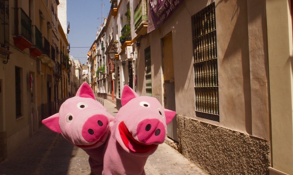Die Schweine machen eine Polonaise zur nächsten Sehenswürdigkeit. Die gibt es nächste Woche zu sehen!