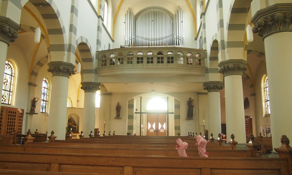 Die Schweine frohlocken, denn sie sind in der Kirche der Schutzheiligen in Dattenberg.