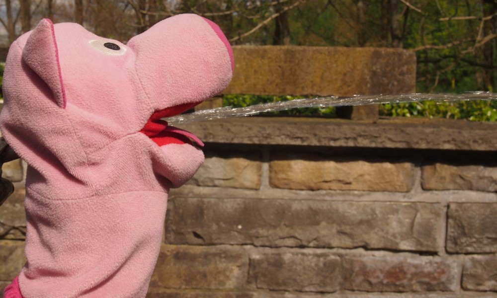 Was der Frosch kann, kann das Schwein auch.