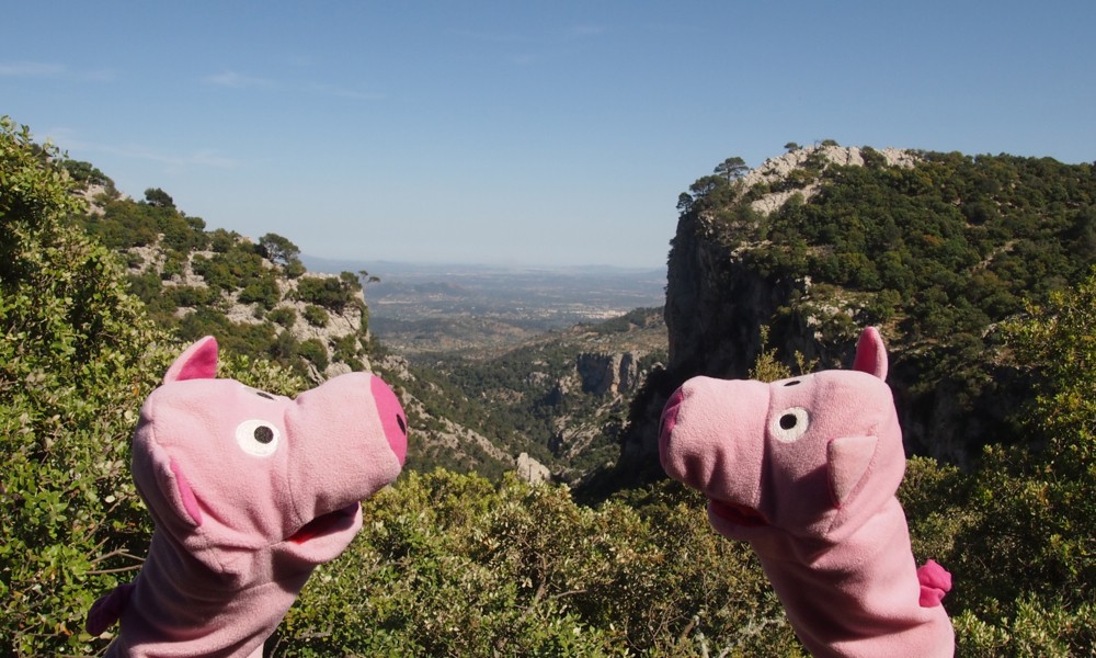 Hier gibt es eine Aussicht auf Kartoffelfelder im Hinterland.