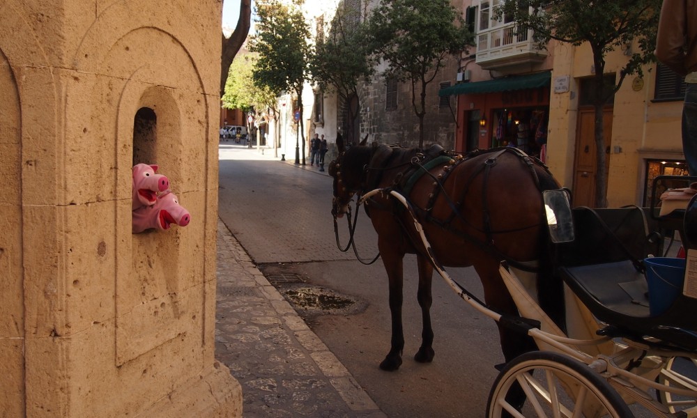 Ri-Ra-Rutsch! Schweine in der Kutsch! Die Schweine nehmen Wegzoll. 