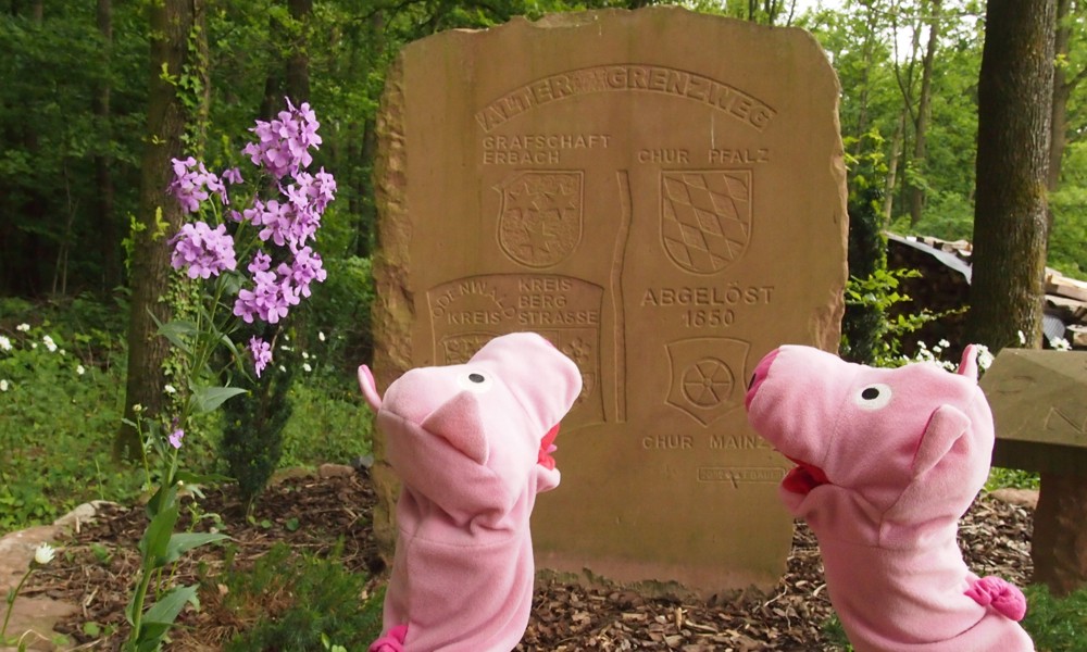 Kur Pfalz und Kur Mainz. Die Schweinle wolle auch a Kur mache.