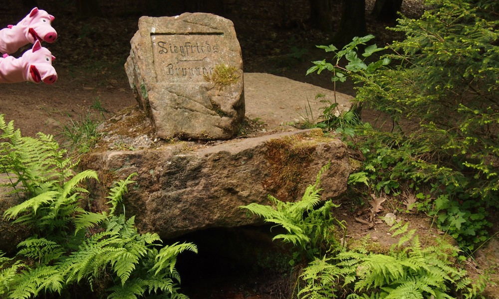 Dofür is de Siegfriedbrunne noch ganz. Da is der Siegfrie erstoche worde. 