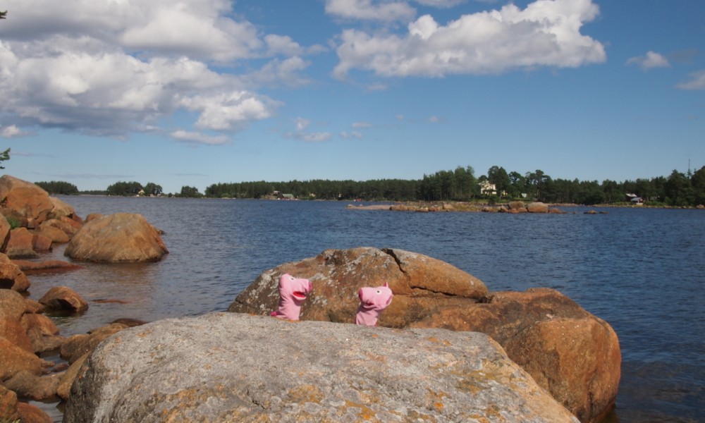In den Schären gab es reichlich Steine in Kartoffelform. 