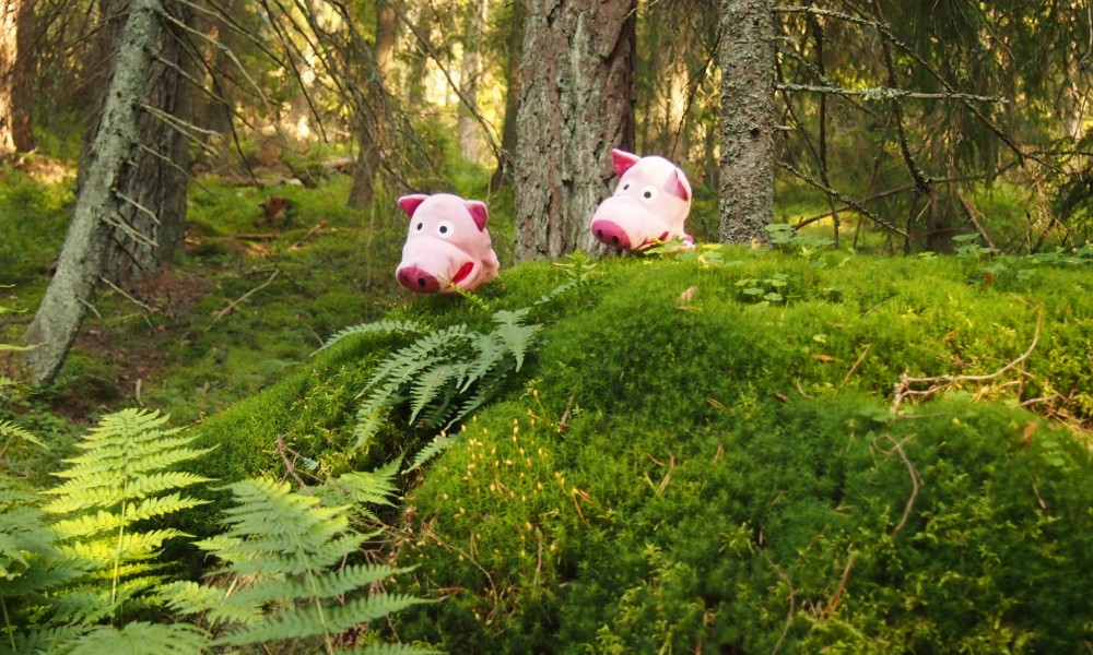 Tief im Wald, da wohnt bestimmt der Wolf. 