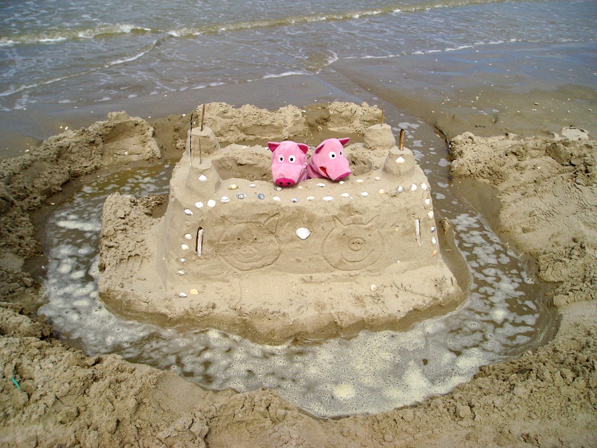 Hmmm ... Wasserburg Schwein?