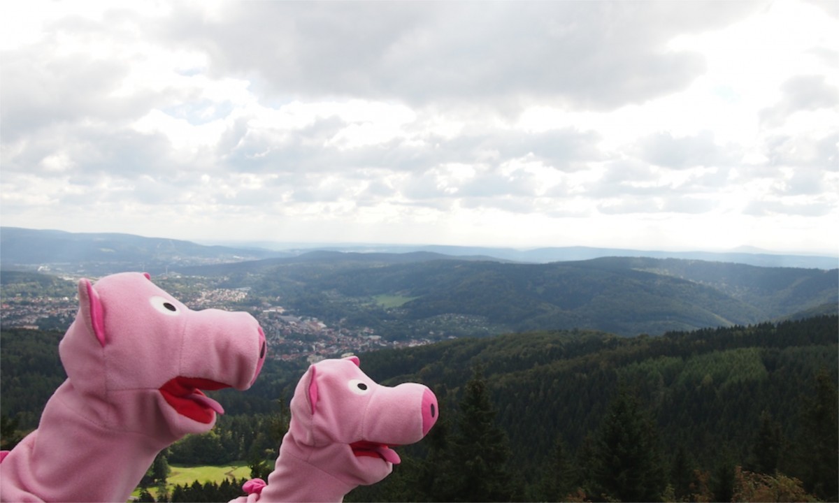 Höhenwanderung auf den Ruppberg.