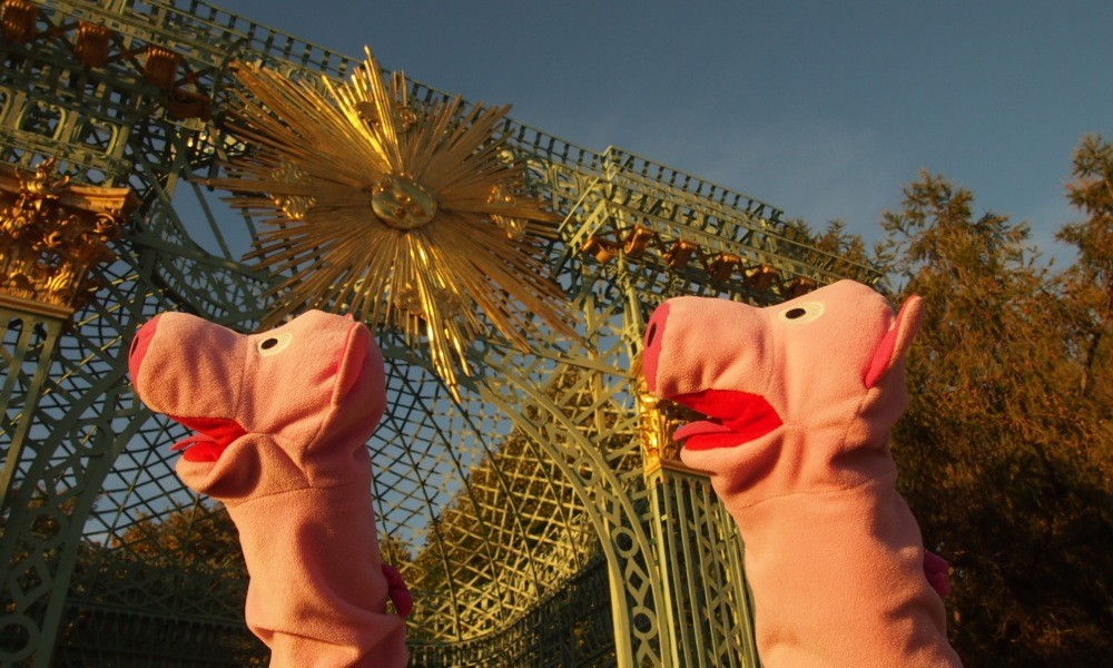 Sonnenuntergang mit Schweinen