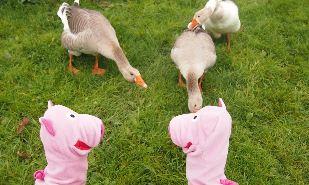 Dann wird gepickt. Na toll. 