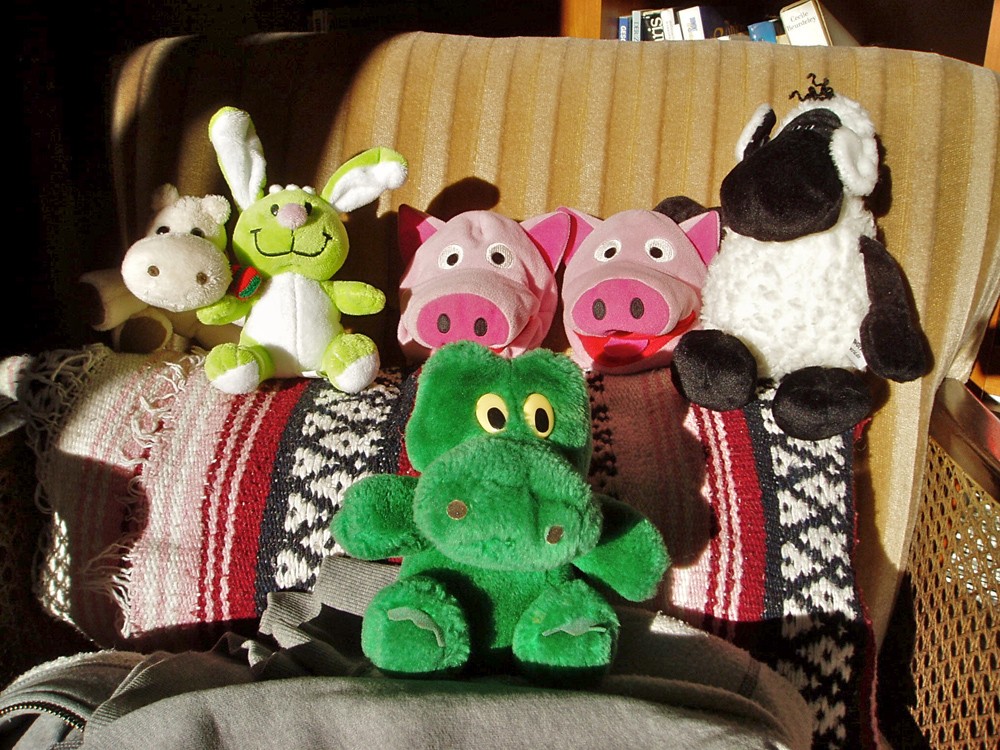 Am Samstagnachmittag sitzen die Schweine mit ihren Freunden in der Sonne. 