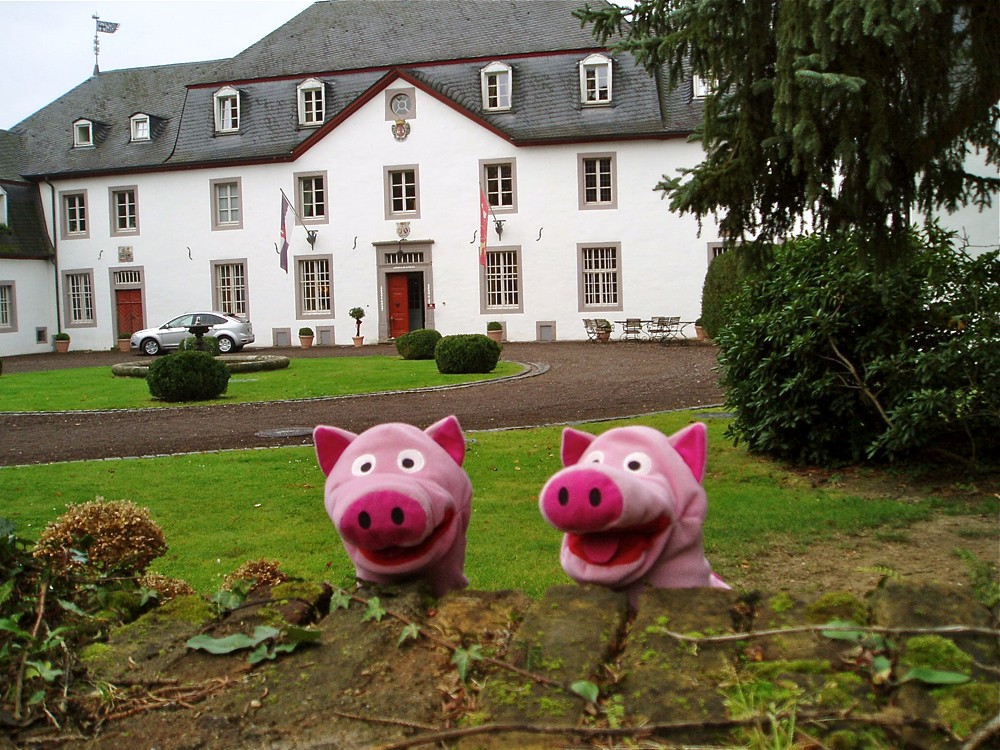 Die Schweine möchten aber lieber hier einziehen.