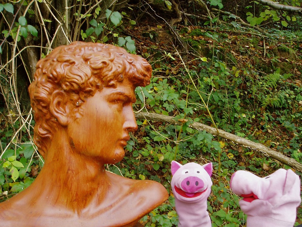 Die Schweine bewundern die römischen Ausgrabungen im Aggertal.