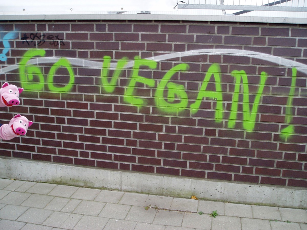 Ein schönes Graffiti: Die Schweine sind dafür.