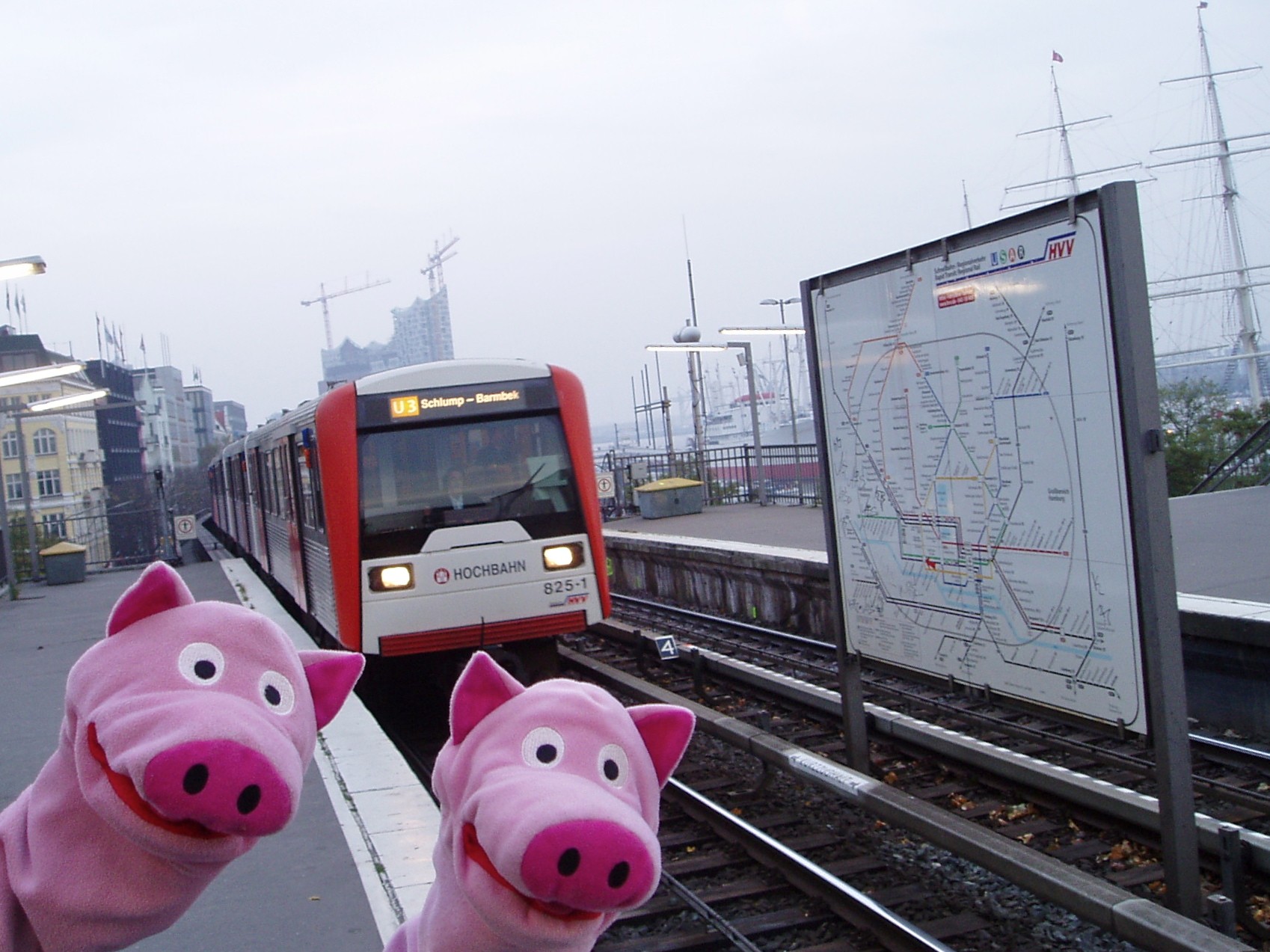Die Schweine halten immer noch Ausschau nach der Reeperbahn. 