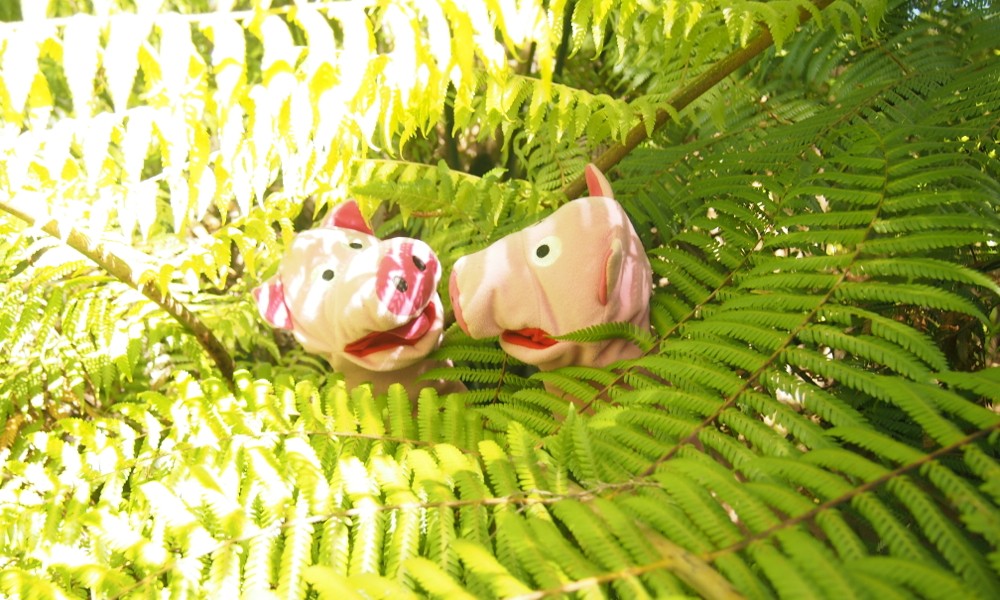 Die Farne sind größer als zwei Schweine zusammen.