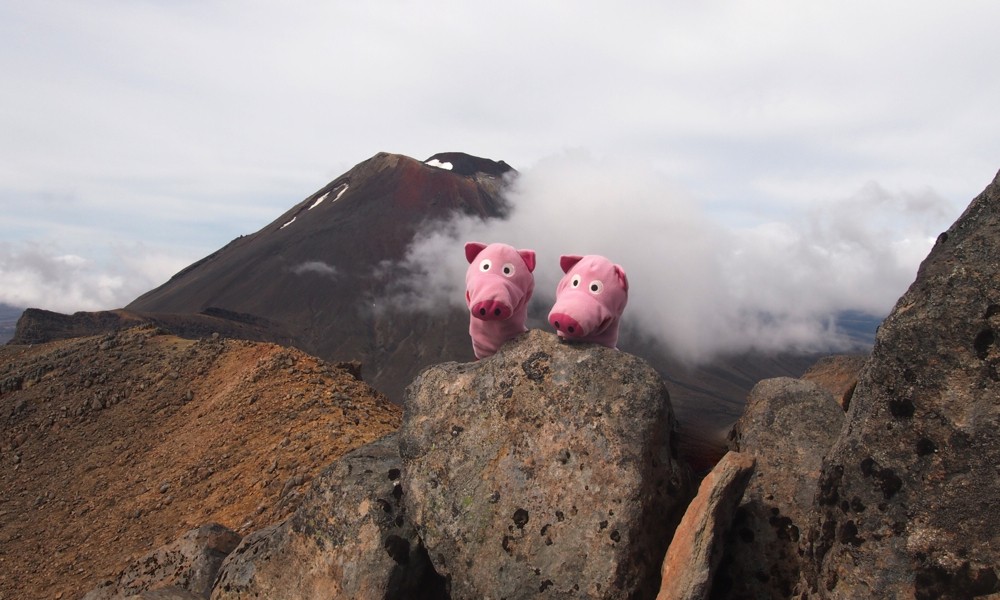 Der stinkt aber gewaltig.