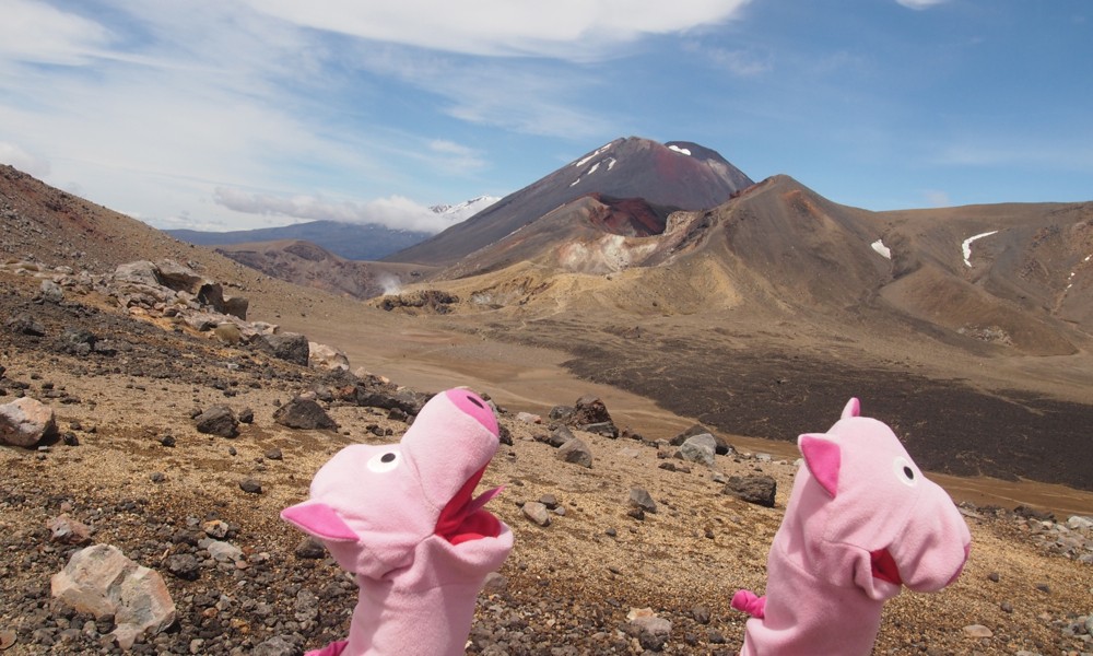 In Anbetracht der bevorstehenden Feiertage singt ein Schwein "Oh Tannenbaum". Nervig.