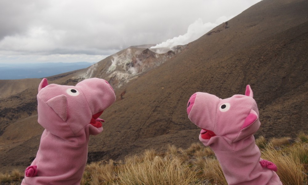 Die Schweine entdecken einen weiteren Vulkan, der brodelt noch.