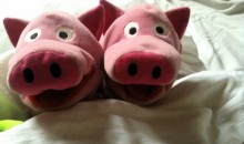 Na? Ausgeschafen? Die Sonne scheint, wir gehen spazieren!