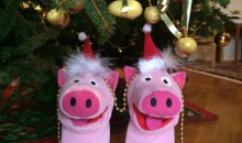 Die Schweine singen "Stilles Schwein, heiliges Schwein".