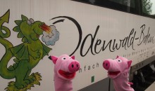 Mit de Odewaldbahn sin die Schweine über Groß-Umstad Wiebelsbach angereist.
