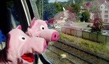 Am Rhein entlang geht es mit dem Zug zur Bundesgartenschau.