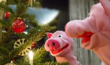 Der festlich geschmückte Baum bringt Schweineaugen zum Leuchten.